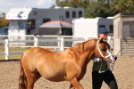 SBM_13862