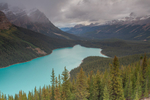 Peyto Lake3