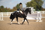SBM_23008