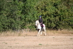 WJ6_7067