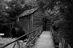 Scenics and Life portfolio