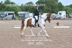 BPP_9891