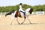 SBM_010129