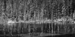 AB-Banff-Jasper-51