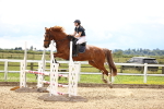SBM_002783