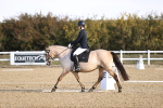SBM_009101