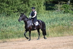 WJ7_6922