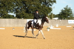 SBM_16466