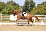 SBM_006579