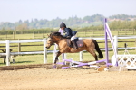 SBM_000097