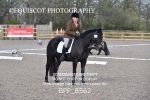 BPP_8562