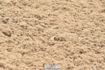 230611A-093928-04568