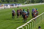 230526-Race 6-Pearl River-0595
