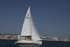 190629 GO-GO GBR4452L D43A4656