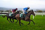 151125-Race 7-Divine Diva-4717
