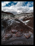 Petrified
