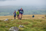 Fellside-243