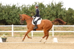 SBM_007379