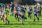 Cumbria XC-80