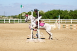 SBM_007410