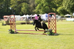 SBM_12597