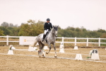 SBM_002146