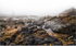 Walking through the mists of time