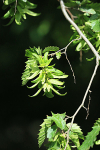 IMGL6088_2