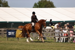 SBM_17708