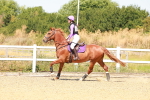 SBM_002260