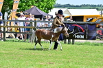 SBM_03649
