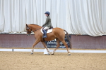 SBM_001945
