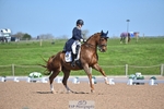 Cls 18 Premier League FEI Intermediate II portfolio