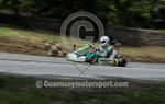 Hillclimb_02-08-2014_Kart-12