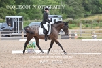 BPP_7033