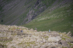Duddon Long-475