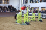 SBM_003957