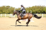 SBM_001613
