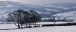 Bradfield Dale (02)