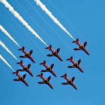 red arrows