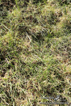 PR 010325 185