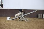 SBM_006085