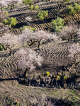 Andalucia 3 -15