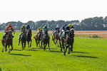 300824-Race 5-Shesashambles-6190
