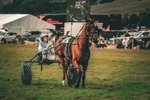 DSCF7443