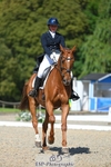 251-CLASS_MOVE-Ellie_Healy-WEDTrotUp+DR portfolio
