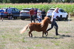 WJ6_4814