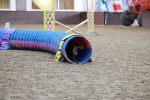 SBM_004507