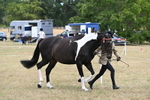 WJ6_5269