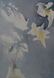 Daffodils in February